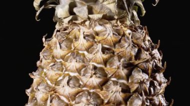 Pineapple Rotates on a Black Background. Detail of Pineapple Scale Skin and Crown