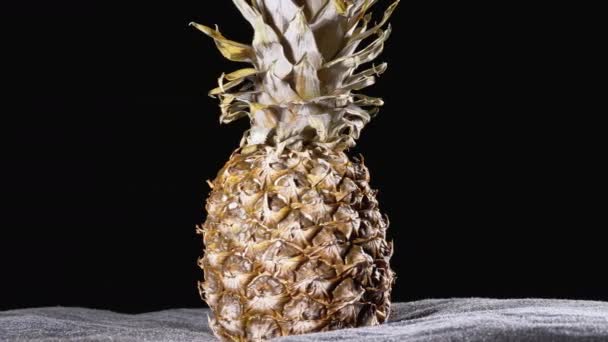 Ananas rotiert auf schwarzem Hintergrund. Detail der Haut und Krone der Ananas. 4k — Stockvideo