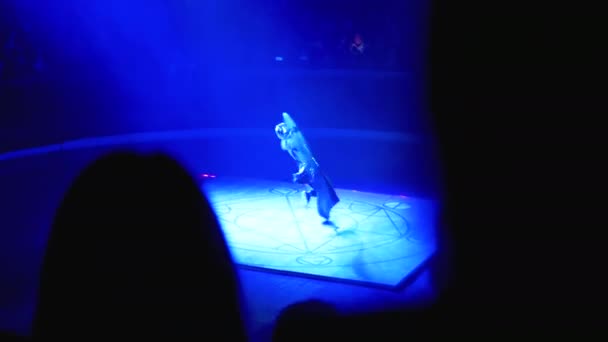Muhteşem Adam Koca Cyr Tekerlekli Hula Hoop Sirk Sahnesinde Akrobatik Numara yapıyor — Stok video