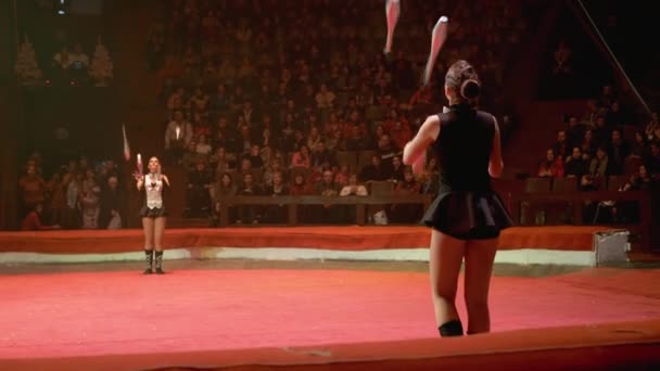 The Duo of Twin Girls Juggle with Clubs Performing Tricks on the Circus Stage — Stok Video