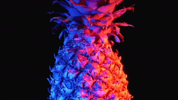 Pineapple with Red and Blue Backlight Rotates on a Black Background — Stok video