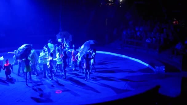 Circus. Kunstenaars dansen in kostuums in de Circus Arena. Toeschouwers kijken naar de show — Stockvideo