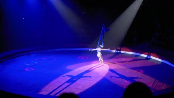 Acrobática aérea, menina está realizando em seda em um palco de circo . — Vídeo de Stock