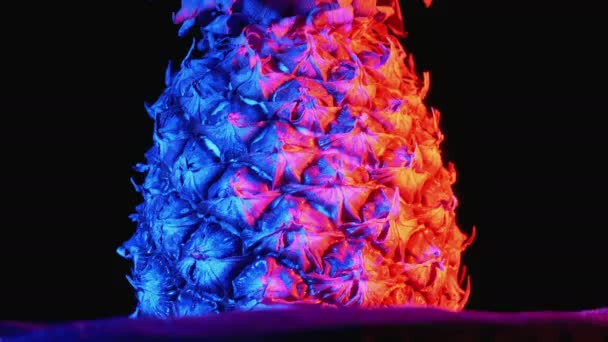 Ananas avec rétro-éclairage rouge et bleu tourne sur un fond noir — Video