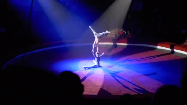Akrobatisk maktduo av muskulösa män på cirkusscenen — Stockvideo