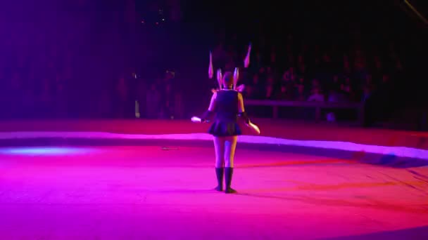 O Duo de meninas gêmeas malabarismo com clubes executa truques no palco do circo — Vídeo de Stock