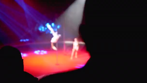 Silhouettes de spectateurs dans un cirque Regarder un spectacle dans l'aréna du cirque — Video