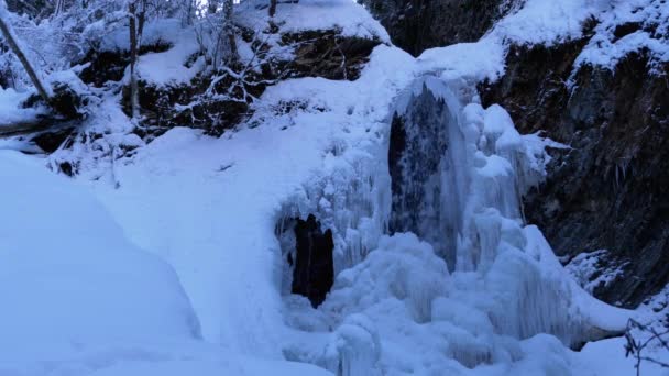 Крижаний водоспад Гук у Карпатських горах у лісі — стокове відео