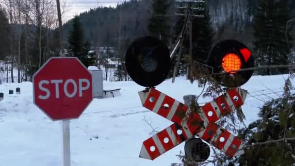 Semáforo intermitente rojo en un cruce ferroviario en un bosque en invierno. Tren pasando por — Vídeo de stock