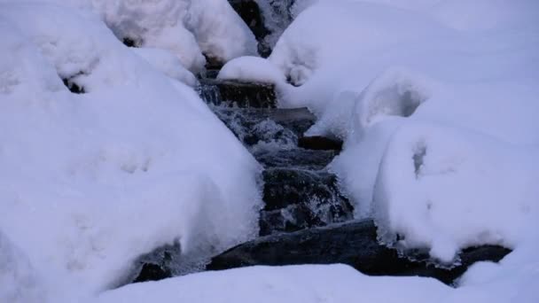 Ruscello di montagna nella foresta invernale. Fiume di montagna che scorre sotto ghiaccio e neve nel paesaggio invernale — Video Stock