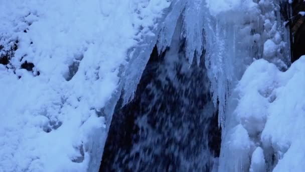 Fryst Vintervattenfall Guk i Karpaterna i skogen — Stockvideo