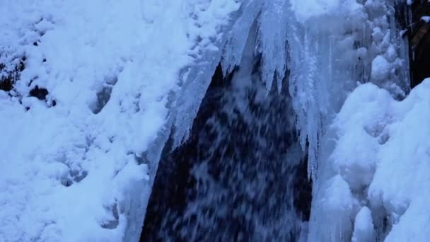 Bevroren Winter Waterval Guk in het Karpaten gebergte in het Bos — Stockvideo