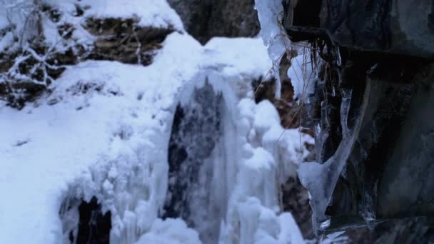 Замороженный зимний водопад Гук в Карпатах в лесу — стоковое видео