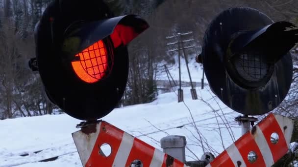 Red Flashing Traffic Light at a Railway Crossing in a Forest in Winter. Train Passing By — Wideo stockowe