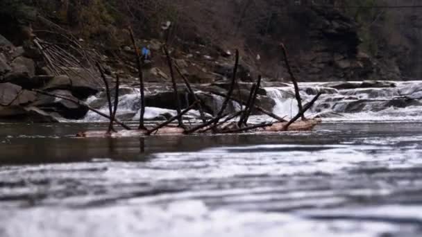 Árbol caído o tronco flota en el río de la montaña con rápidos y piedras. Inundación. Moción lenta — Vídeos de Stock