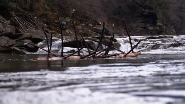 Fallen Tree or Log Floats on the Mountain River with Rapids and Stones. Flooding. Slow Motion — Stockvideo