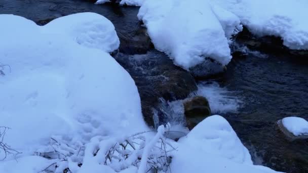 Ruscello di montagna nella foresta invernale. Fiume di montagna che scorre sotto ghiaccio e neve nel paesaggio invernale — Video Stock