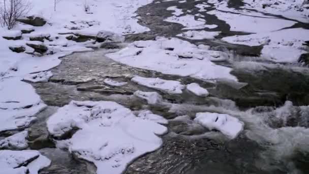 Flusso di montagna in inverno. Fiume di montagna che scorre su ghiaccio e neve vicino a rocce nel paesaggio invernale — Video Stock