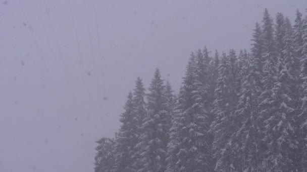 Inverno Snowfall na floresta de pinheiro de montanha com árvores de Natal nevadas. Movimento lento . — Vídeo de Stock