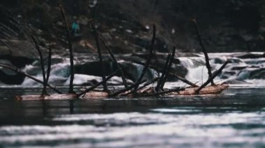 Fallen Tree or Log Floats on the Mountain River with Rapids and Stones. Flooding. Slow Motion