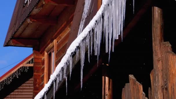 Icicles Melt and Dripping on the Sun Hanging on the Roof of Wooden House. Slow Motion — Stockvideo