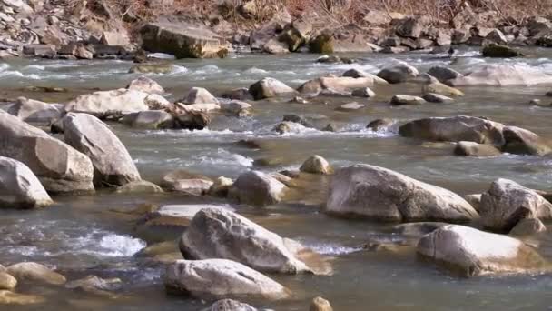 Wild Mountain River Flowing with Stone Boulders and Stone Rapids. Slow Motion — Stock Video