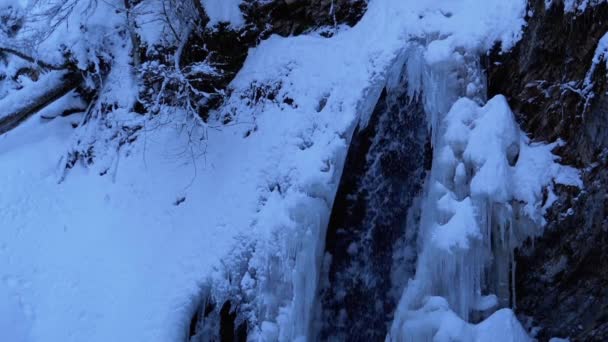 Guk de cachoeira de inverno congelado nas montanhas dos Cárpatos na floresta — Vídeo de Stock