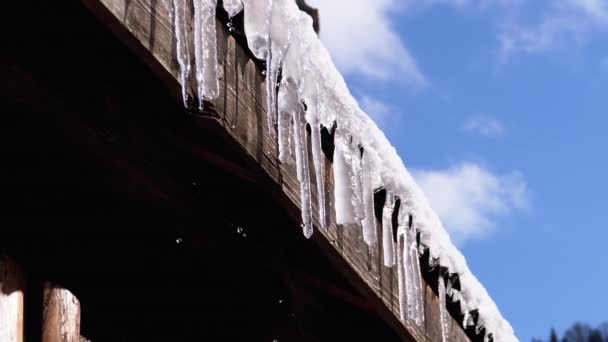 Icicles Melt and Dripping on the Sun Hanging on the Roof of Wooden House (en inglés). Moción lenta — Vídeos de Stock