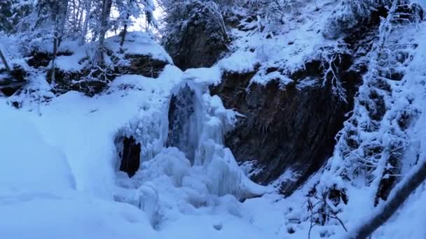 Panoramic view of the Frozen Winter Waterfall Guk in the Carpathian Mountains in the Forest — Stock video