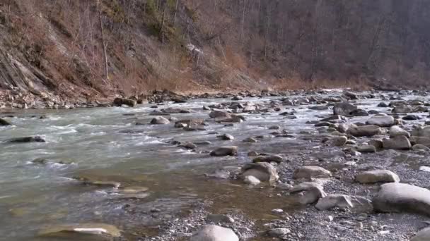 Río Wild Mountain fluye con rocas de piedra y rápidos de piedra. Moción lenta — Vídeo de stock