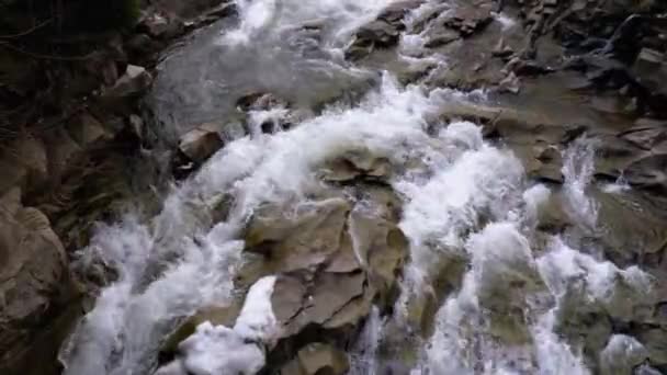 Cascade Prut en hiver. Débit rapide d'eau d'un ruisseau Mountain et des rapides Stone avec neige 