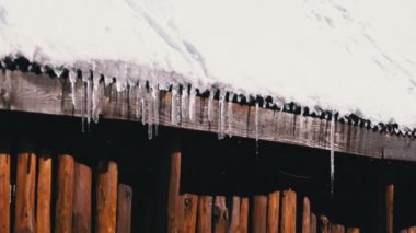 Icicles Melt and Dripping on the Sun Hanging from the Roof of Wooden House. Slow Motion