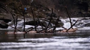 Fallen Tree or Log Floats on the Mountain River with Rapids and Stones. Flooding. Slow Motion