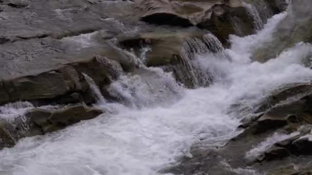 Fiume selvaggio di montagna che scorre con massi di pietra e pietre rapide. Rallentatore — Video Stock