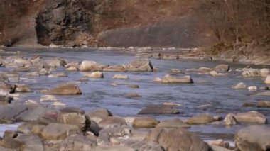 Vahşi Dağ Nehri taş kayalar ve taş akıntılarıyla akıyor. Yavaş Hareket