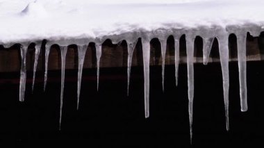 Icicles Melt and Dripping on the Sun Hanging on the Roof of Wooden House. Slow Motion