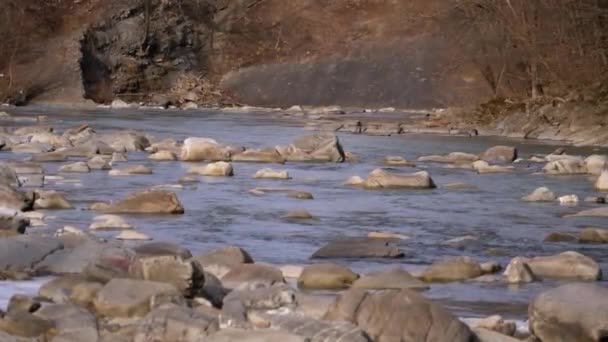 Río Wild Mountain fluye con rocas de piedra y rápidos de piedra. Moción lenta — Vídeo de stock
