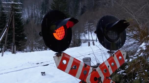 Red Flashing Traffic Light at a Railway Crossing in a Forest in Winter. Train Passing By — Stock videók