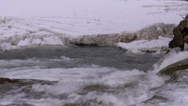Flusso rapido di acqua da un torrente di montagna e Rapide di pietra con neve in inverno. Cascata. Rallentatore — Video Stock