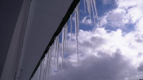 Icicles Melt and Dripping on the Roof on the Spring Blue Sky Background — Stock Video