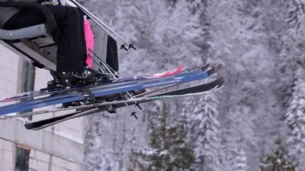Esquiadores en un telesilla. Patas con esquís y botas de esquí en el fondo de pinos nevados en el bosque . — Vídeos de Stock