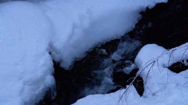 Corriente de montaña en el bosque de invierno. Río Montaña Fluyendo bajo Hielo y Nieve en Paisaje Invernal — Vídeos de Stock