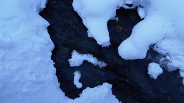 Mountain Stream in Winter Forest. Mountain River Flowing under Ice and Snow in Winter Landscape — Αρχείο Βίντεο