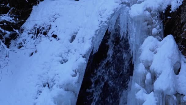 Замороженный зимний водопад Гук в Карпатах в лесу — стоковое видео