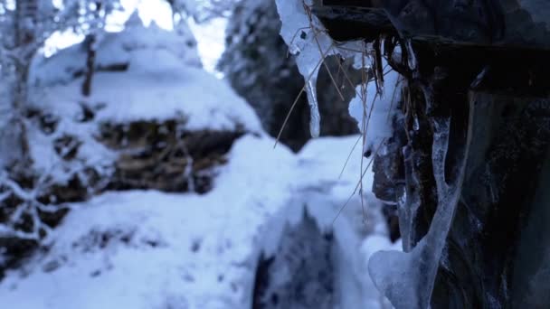 Guk de cachoeira de inverno congelado nas montanhas dos Cárpatos na floresta — Vídeo de Stock