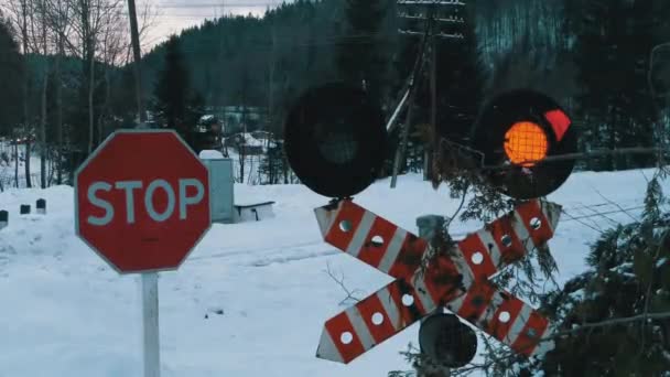 Semáforo intermitente rojo en un cruce ferroviario en un bosque en invierno. Tren pasando por — Vídeos de Stock