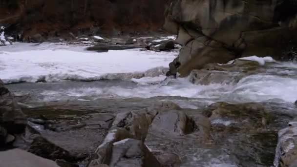 Cascata Prut in inverno. Flusso rapido di acqua da un torrente di montagna e Rapide di pietra con neve — Video Stock