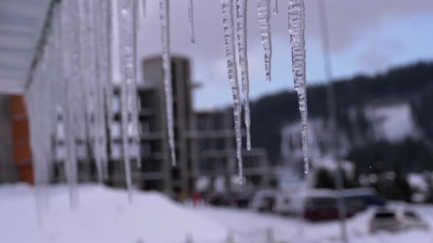 Icicles Melt and Dripping on the Roof of House. Slow Motion — Stock video