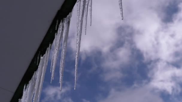 Eiszapfen schmelzen und tropfen auf dem Dach des frühlingshaften blauen Himmels — Stockvideo