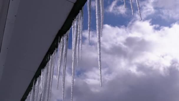 Eiszapfen schmelzen und tropfen auf dem Dach des frühlingshaften blauen Himmels — Stockvideo